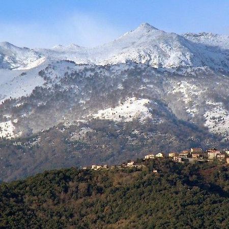 Hotel Casa Bonino Prunelli-di-Fiumorbo Exteriér fotografie