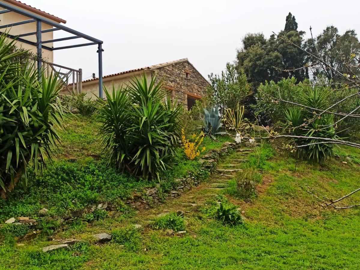 Hotel Casa Bonino Prunelli-di-Fiumorbo Exteriér fotografie