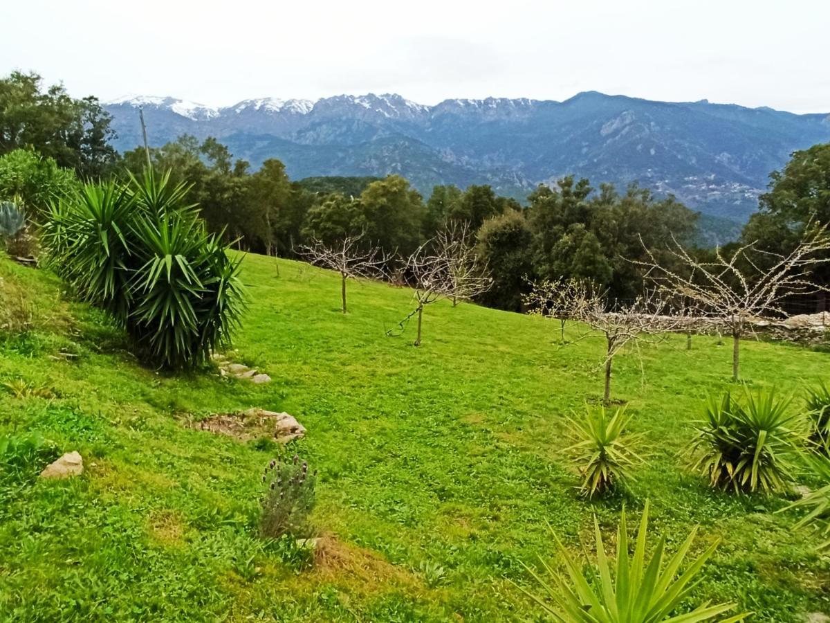 Hotel Casa Bonino Prunelli-di-Fiumorbo Exteriér fotografie